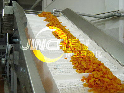 爬坡網帶輸送機輸送食品